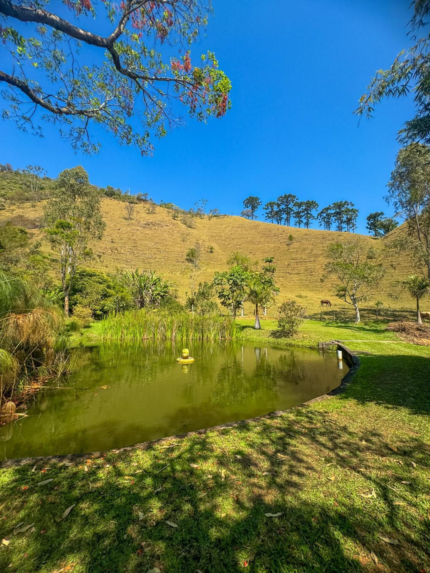 מלון ויסקונדה דה מאווה Pousada Rio Dos Cristais מראה חיצוני תמונה